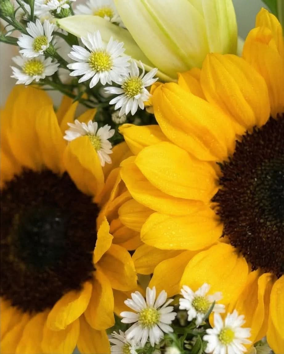 Golden Bloom - FLOVERS